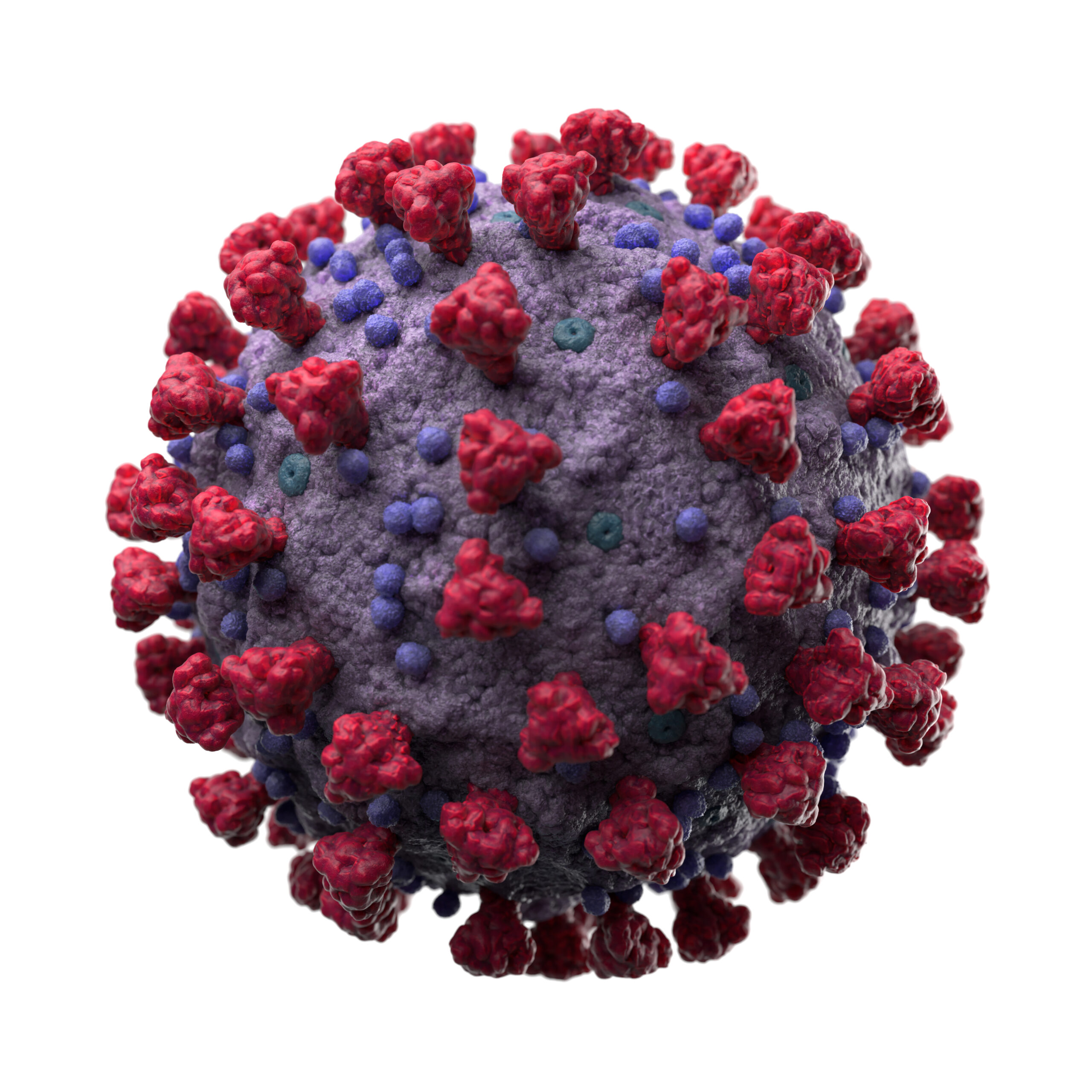 Image of COVID-19 virus