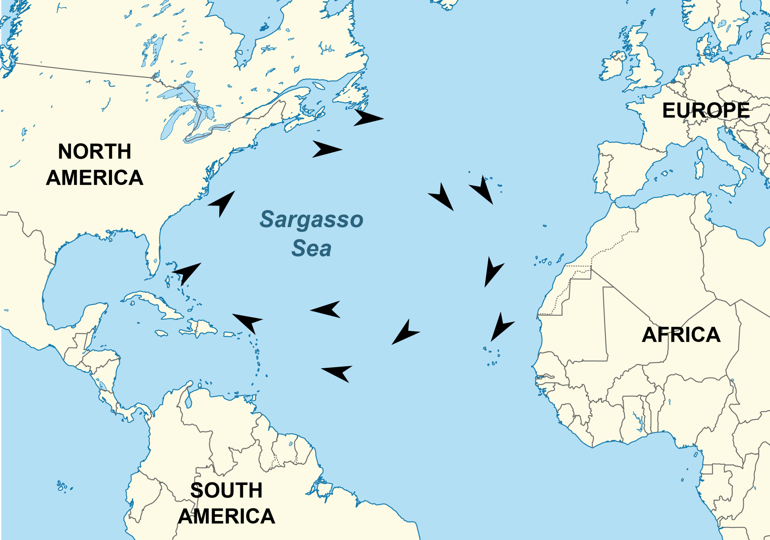 Sargasso Sea relative to surrounding land forms, the Atlantic Ocean, and its currents.