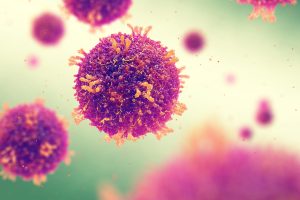 A stock image of the measles virus