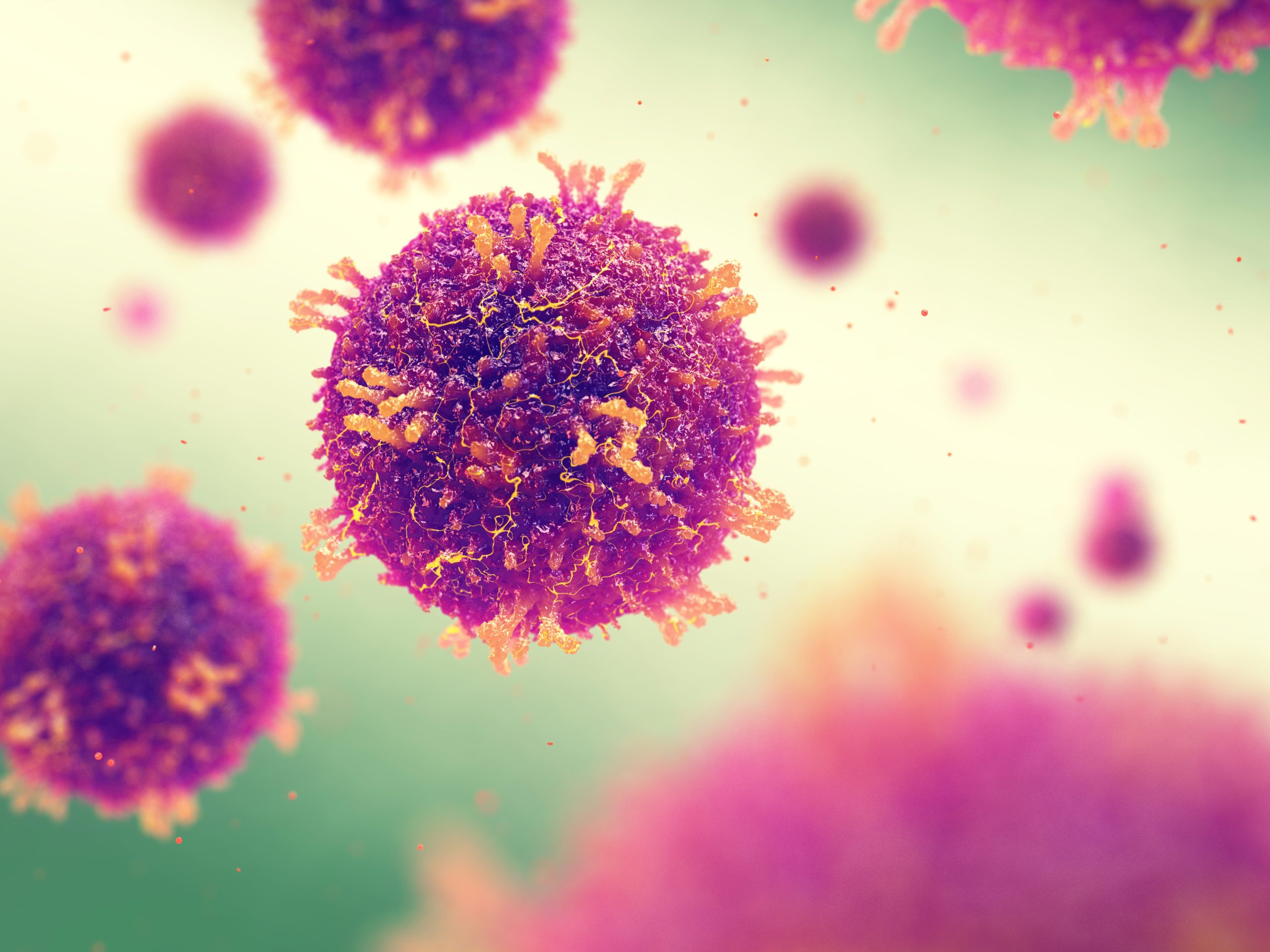A stock image of the measles virus