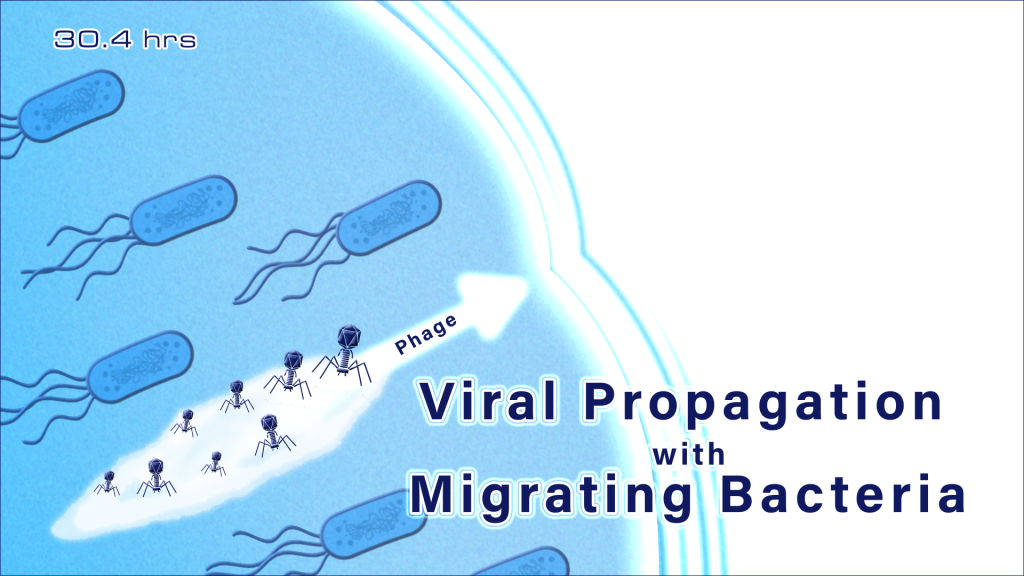 An illustration depicting viral propagation with migrating bacteria