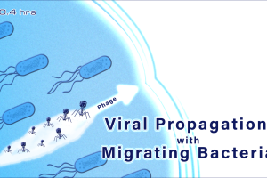 An illustration depicting viral propagation with migrating bacteria