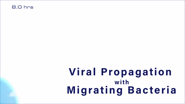 an animation depicting viral propagation with migrating bacteria